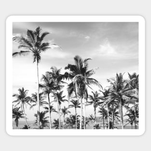 Palmtrees sky black&white Sticker